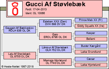 Stamtavle Stamtavle