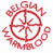 Belgisch Warmbloed Paard