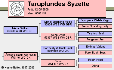 Stamtavle Stamtavle