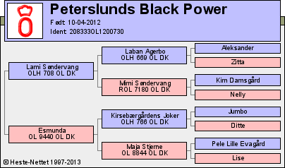 Stamtavle Stamtavle
